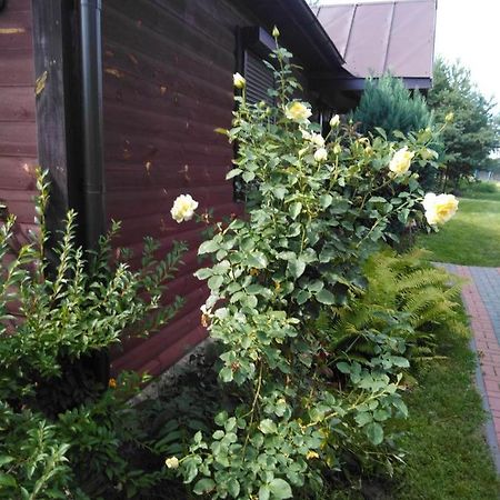 Noclegi Przy Kominku Miedzyles  Exterior foto