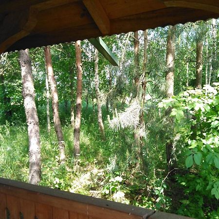 Noclegi Przy Kominku Miedzyles  Habitación foto
