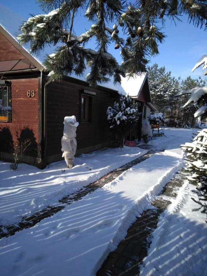 Noclegi Przy Kominku Miedzyles  Exterior foto