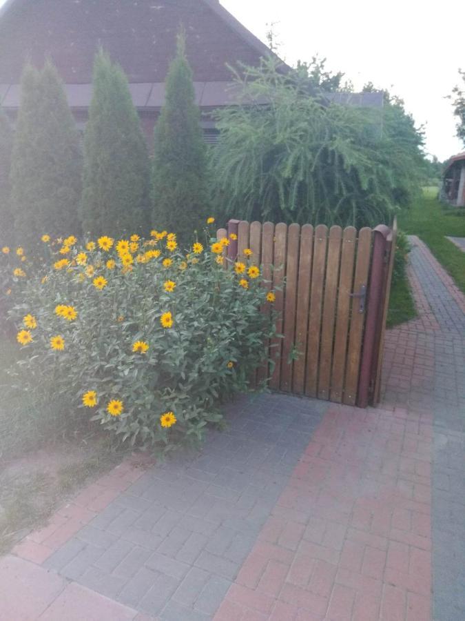 Noclegi Przy Kominku Miedzyles  Exterior foto
