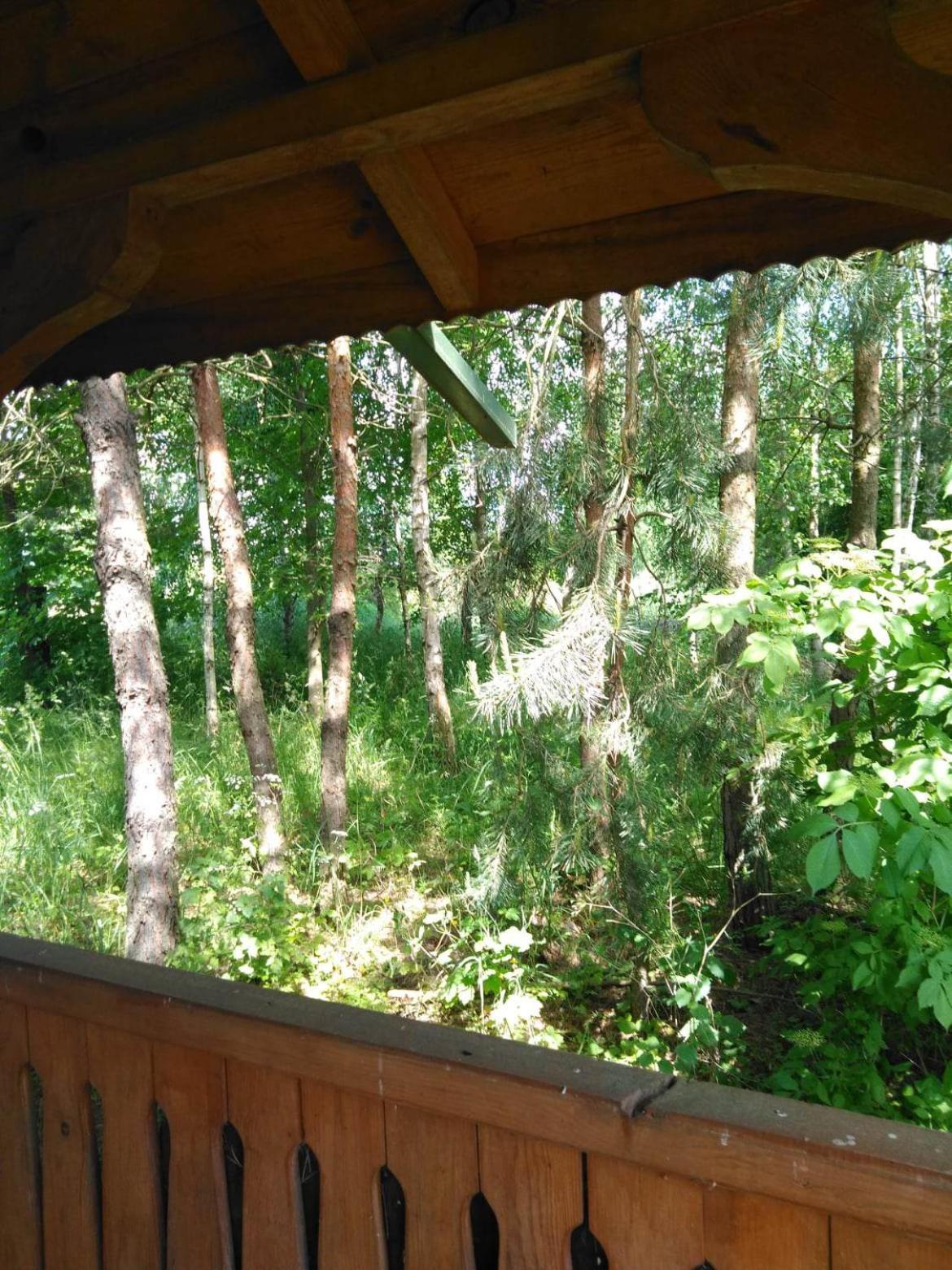 Noclegi Przy Kominku Miedzyles  Habitación foto