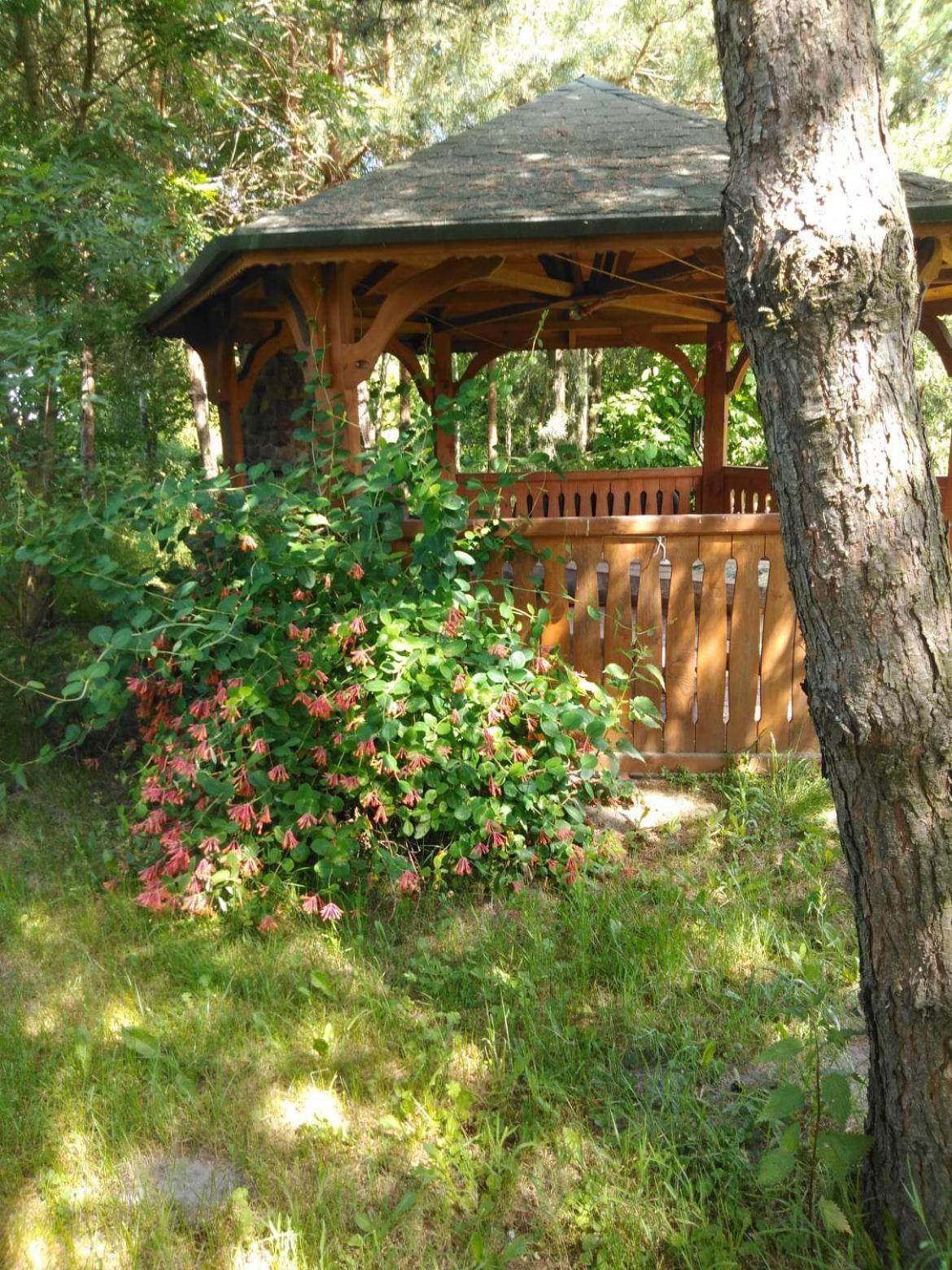Noclegi Przy Kominku Miedzyles  Habitación foto
